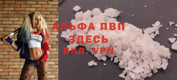 стафф Баксан